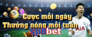 sp8bet
